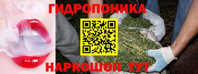 ECSTASY Рязань
