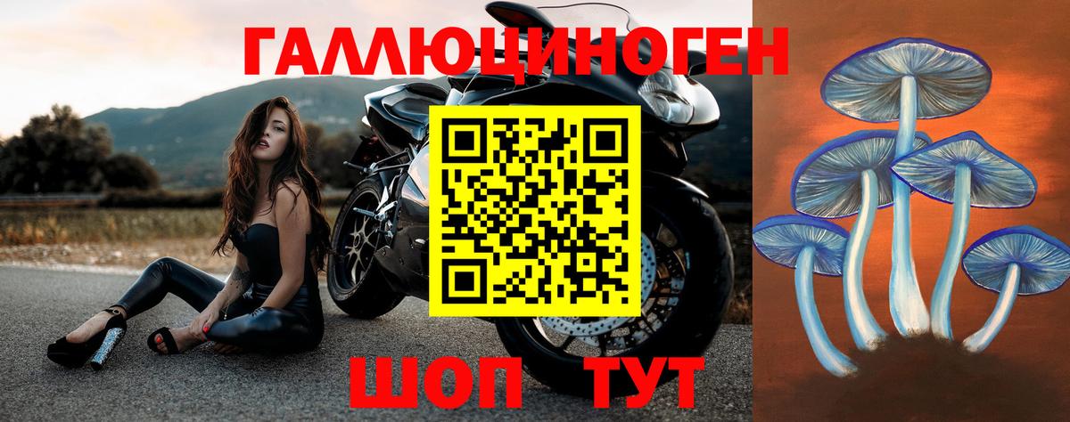 Рыбинск  Галлюциногенные грибы Psilocybe  Псилоцибиновые грибы Cubensis  Вход с VPN 